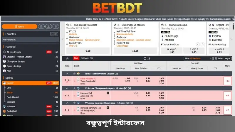 বন্ধুত্বপূর্ণ ইন্টারফেস