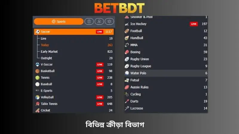 বিভিন্ন ধরণের খেলার ক্যাটেগরি