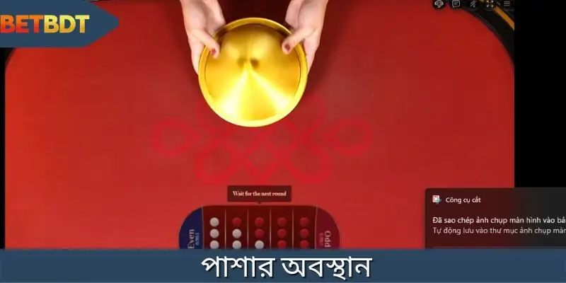 পাশা খেলায় অবস্থান